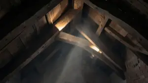 widoczne belki na poddaszu